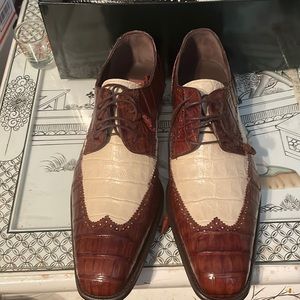 Genuine Crocodile wing tips